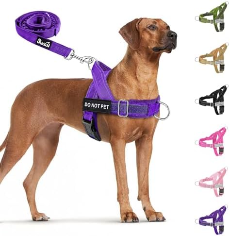 SlowTon No Pull Dog Harness and Leash Set by SlowTon