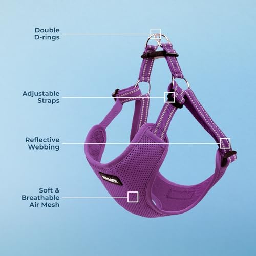 Voyager Step-in Flex Adjustable Dog Harness - Image 3