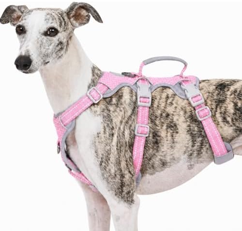 Huntboo Escape Proof Dog Harness, No Pull Reflective Harness by Huntboo