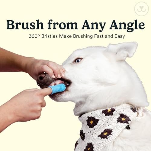 Jasper Dog Toothbrush, 360° Finger Toothbrush - Image 4