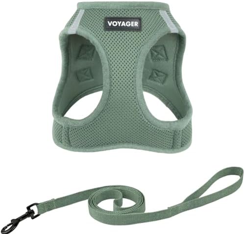 Voyager Step-in Air Cat Harness & Leash Set by BestPetSuppliesLLC
