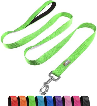6 FT Reflective Dog Leash for Small Dogs by Penseepet