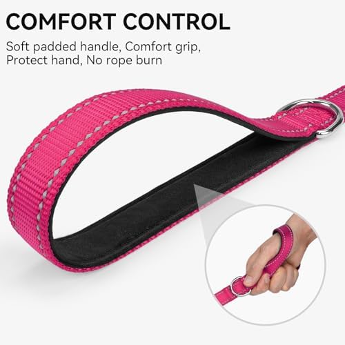 Joytale Reflective Dog Leash for Medium & Large Dogs, 6 FT x 1" - Image 3