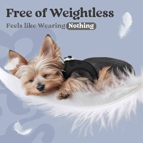 rabbitgoo Step-in Small Dog Harness, Puppy Vest - Image 5