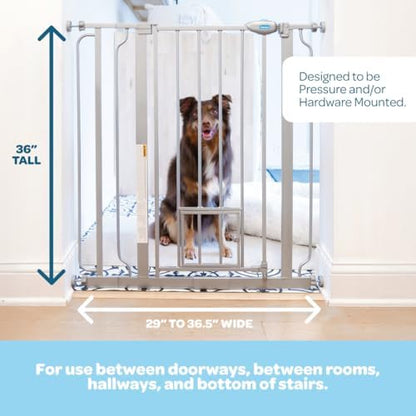 Carlson 36" Extra Tall Walk Through Dog Gate - Image 2