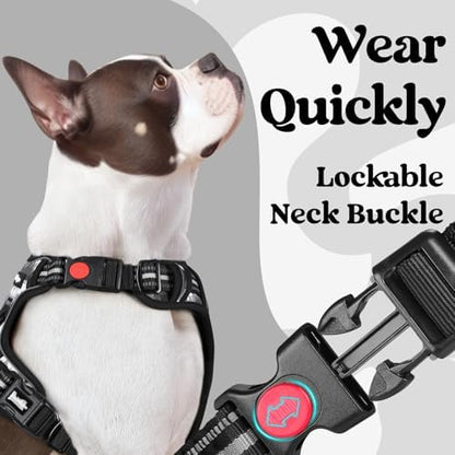 rabbitgoo Dog Harness for Large, Updated Easy On & Off - Image 2