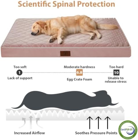WNPETHOME Orthopedic XXL Dog Beds - Image 3