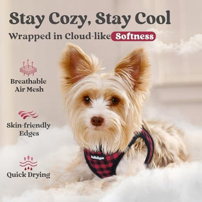 rabbitgoo Step-in Small Dog Harness, Puppy Vest - Image 3