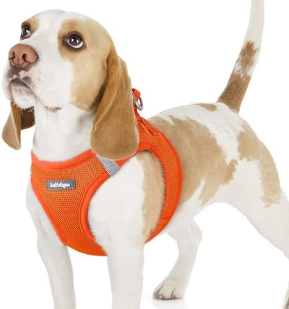 rabbitgoo Step-in Small Dog Harness, Puppy Vest by rabbitgoo