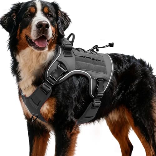 Heavy-Duty Tactical Dog Harness by Bruvoalon