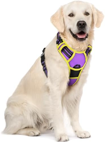 rabbitgoo Dog Harness, No Pull for Large Dogs by rabbitgoo