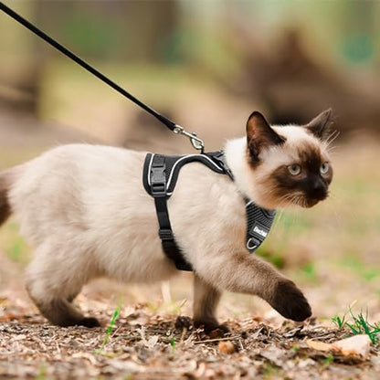Cat Harness, Cat Harness and Leash - Image 6