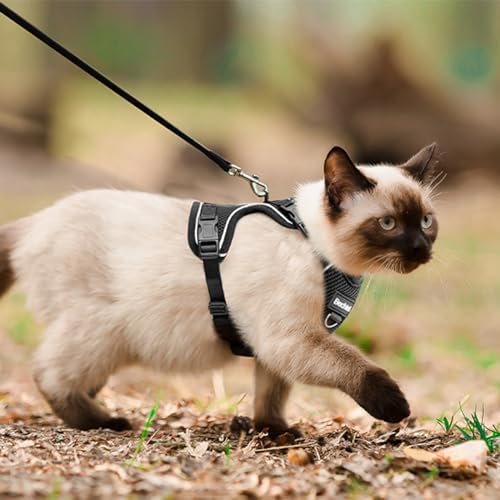 Cat Harness, Cat Harness and Leash - Image 6