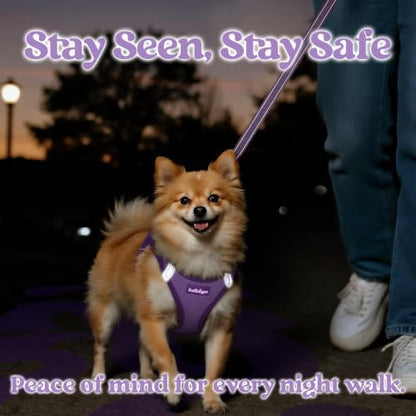 rabbitgoo Dog Harness Small Sized and Leash Set, Step in Soft Vest - Image 5
