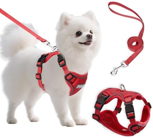 Small Dog Harness and Leash Set, Adjustable Small Sized Pet Vest by Unknown