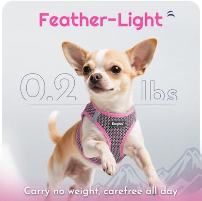 Eagloo Small Dog Harness and Leash Set, Step in Extra Small Puppy Pet Vest - Image 5