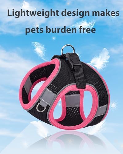 Small Dog Harness and Leash Set - Image 3
