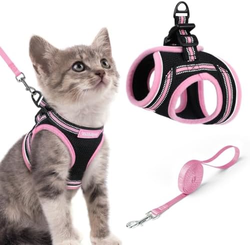 rabbitgoo Cat Harness and Leash Set, Step-in Soft Vest by rabbitgoo