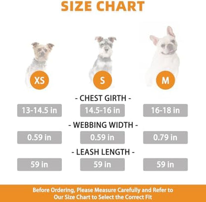 KOOLTAIL Dog Harness and Leash Set, Cute Dog Harness Medium Sized Dog, Step in - Image 2