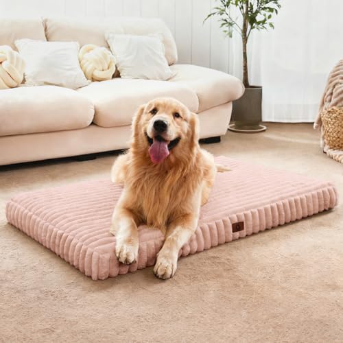 Medium Dog Bed Orthopedic Foam by Cozila