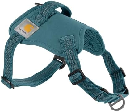 Carhartt Nylon Duck No Pull Dog Harness Harbor Teal S by Carhartt