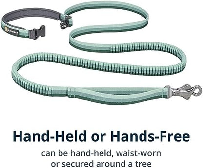 Ruffwear, Roamer Bungee Dog Leash, River Rock Green - Image 4