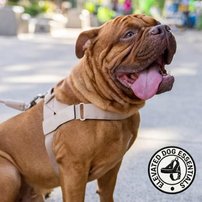 Dog Friendly Co. Dog Harness for Large Dogs - Image 5