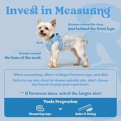 rabbitgoo Step-in Small Dog Harness, Puppy Vest - Image 2