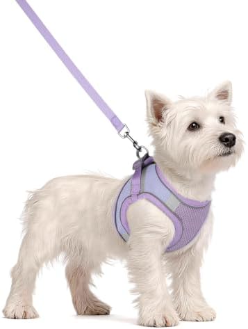 Solmoony Dog Harness for Small Medium Dogs No Pull, Puppy Harness and Leash Set - Image 2