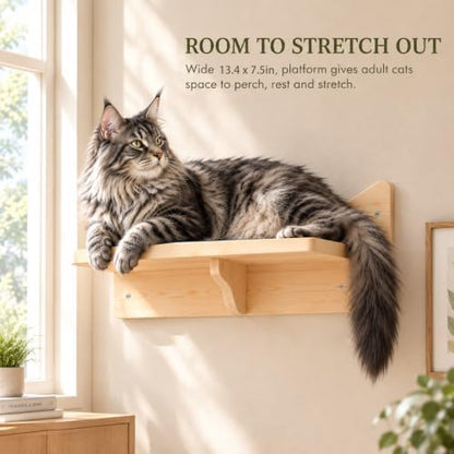 Cat Wall Shelves, 2-Piece Cat Wall Step - Image 6