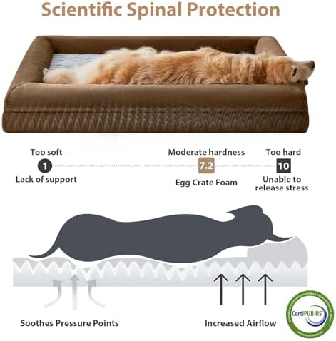 WNPETHOME XXXL Big Large Orthopedic - Image 3