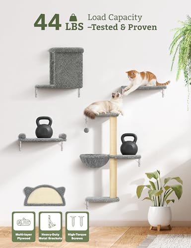 5-in-1 Cat Wall Shelves, Solid Wood Cat Wall Furniture Set - Image 4