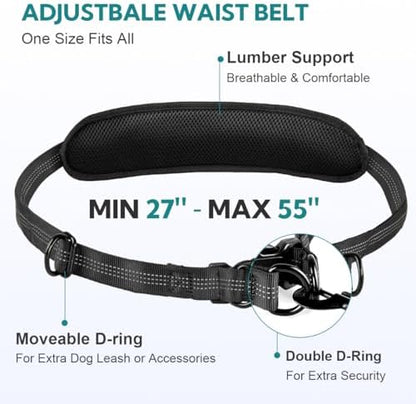 Hands Free Dog Leash for Two Dogs Walking, - Image 4