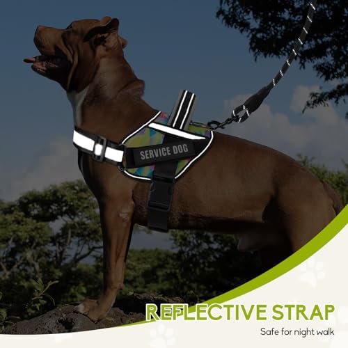 Service Dog Vest Harness and Leash Set, Animire in Training Dog Harness - Image 6