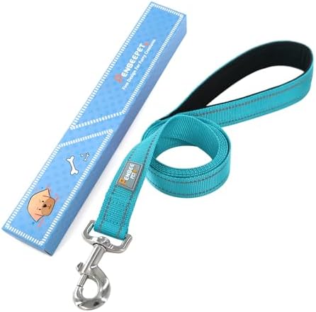 6 FT Basic Dog Leash for Medium Dogs, Sky Blue - Image 6