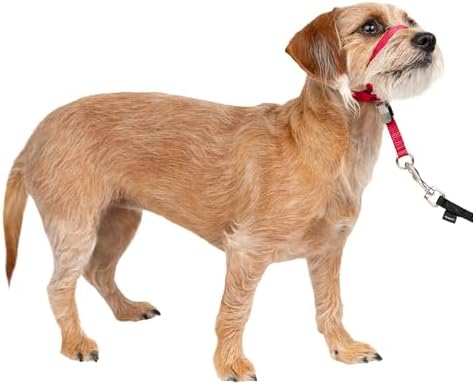 PetSafe Gentle Leader No Pull Dog Headcollar by PetSafe
