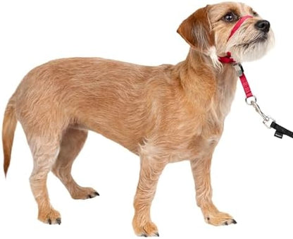 PetSafe Gentle Leader No Pull Dog Headcollar by PetSafe