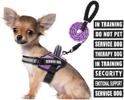 Service Dog Vest Harness and Leash Set, Animire in Training Dog Harness by Animire