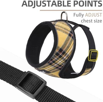 PUPTECK Small Dog Harness and Leash Set No Pull - Image 2