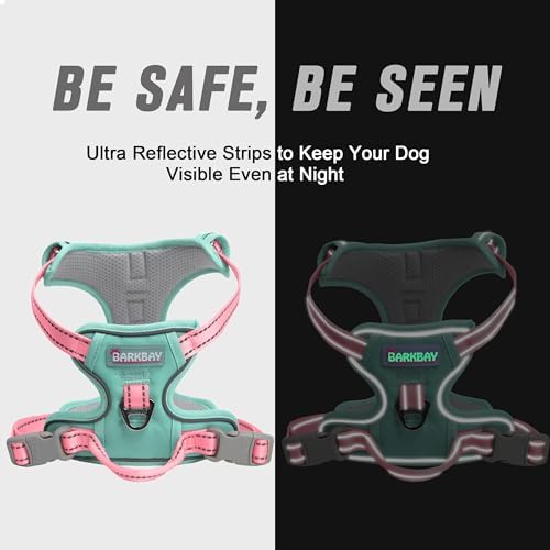 BARKBAY Dog Harness No Pull for Medium Sized Dog Front Back Clips, Dog Vest - Image 5
