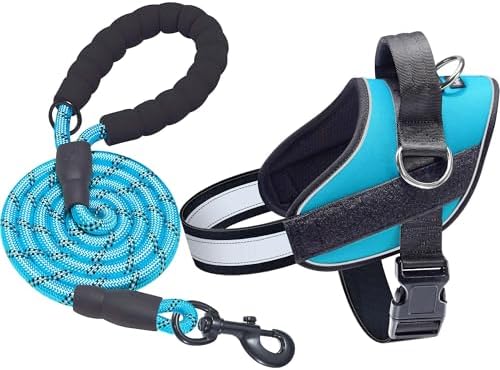 Haapaw Essential Dog Harness, No Pull Pet Vest by haapaw