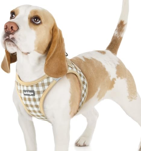 rabbitgoo Step-in Small Dog Harness, Puppy Vest by rabbitgoo