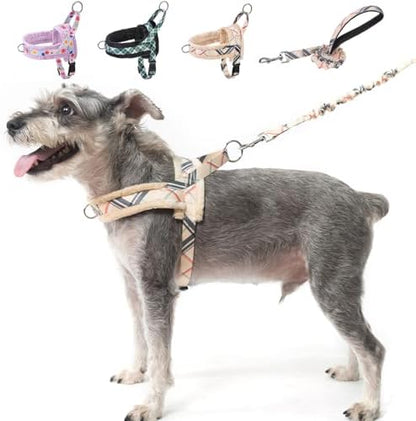 BEAUTYZOO No Pull Medium Dog Harness and Leash Set, Soft Puppy Vest Harness by BEAUTYZOO