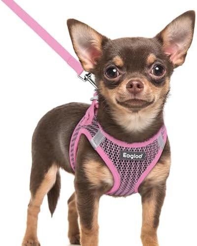 Eagloo Small Dog Harness and Leash Set, Step in Extra Small Puppy Pet Vest by GoExplorewithEagloo