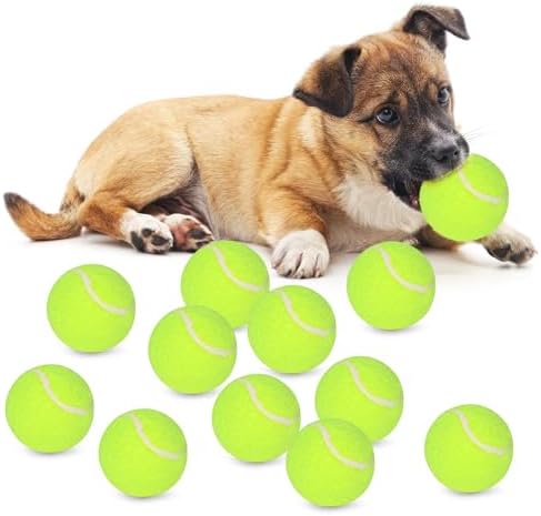 Tennis Balls for Dogs, 12 Pack, 2-Inch Small Size, Indoor Outdoor Interactive by ZAPELL