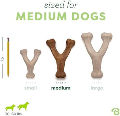 Benebone 3-Pack Wishbone Dog Chew Toy - Image 4