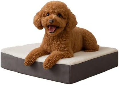 Orthopedic Dog Bed by PETMAKER