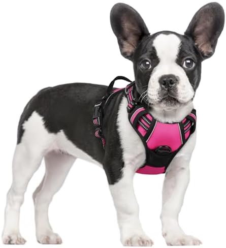 rabbitgoo Dog Harness, No Pull for Small Dogs by rabbitgoo