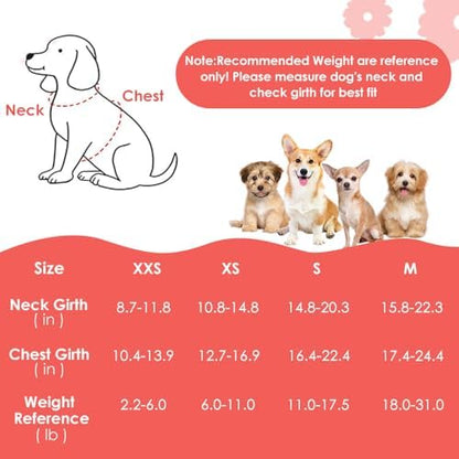SlowTon No Pull Dog Harness - Image 3