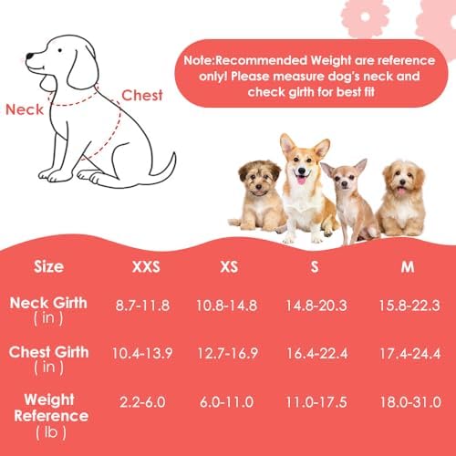 SlowTon No Pull Dog Harness - Image 3